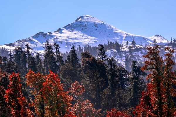 Kedarkantha summit view